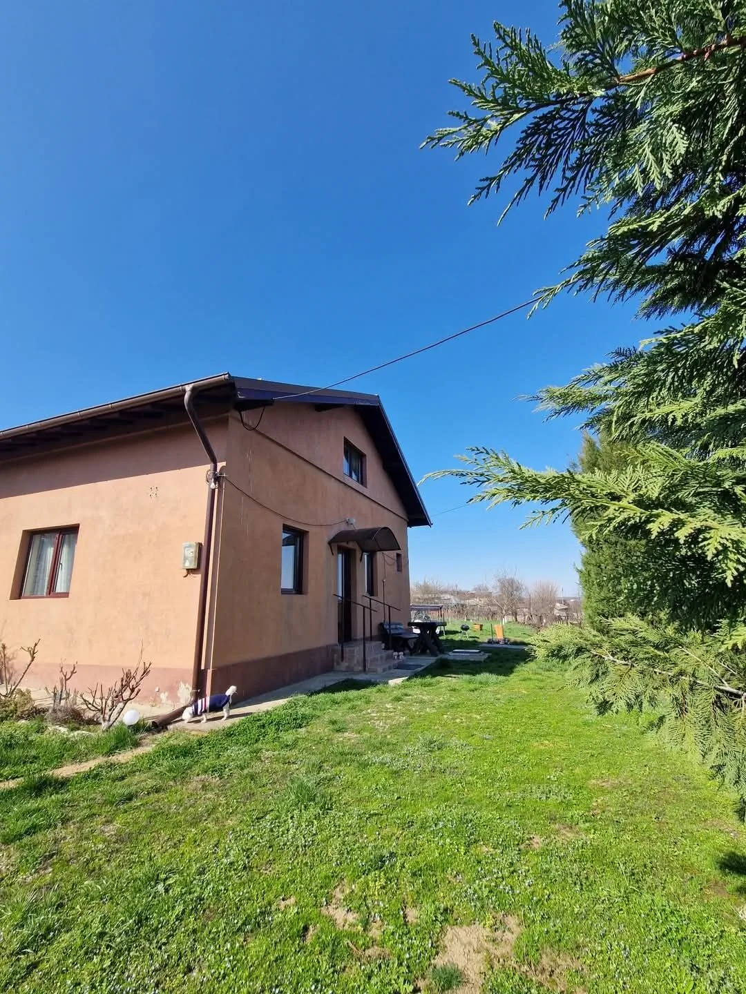 Family's UpHouse Iepureşti