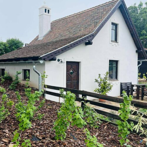 Illés Méhészet és Vendégház Felsőörs