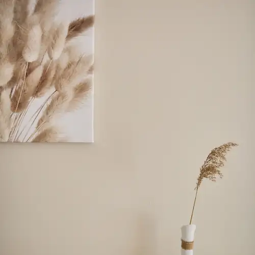 Nádszál Apartman Sopron 017 kép