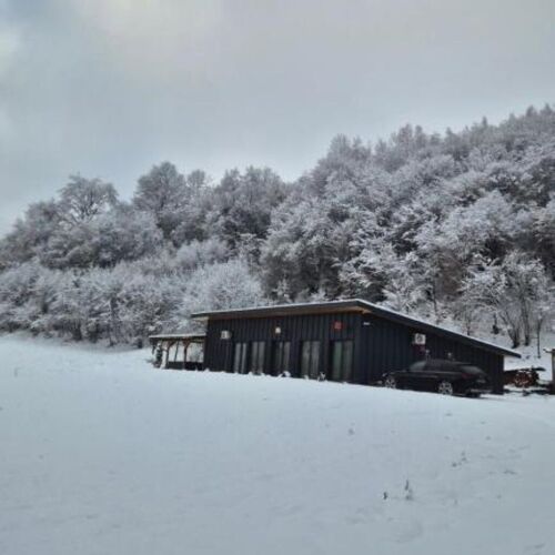 Cabana Bendis Suciu de Sus