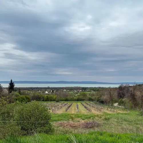 Haptapta Ház Balatonudvari 015 kép