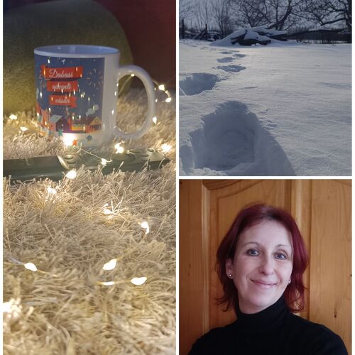 Kicsi Rigó Nyaralóház Lakitelek