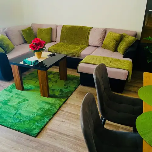 Brookforest Belvárosi 2 Apartman Debrecen 014 kép