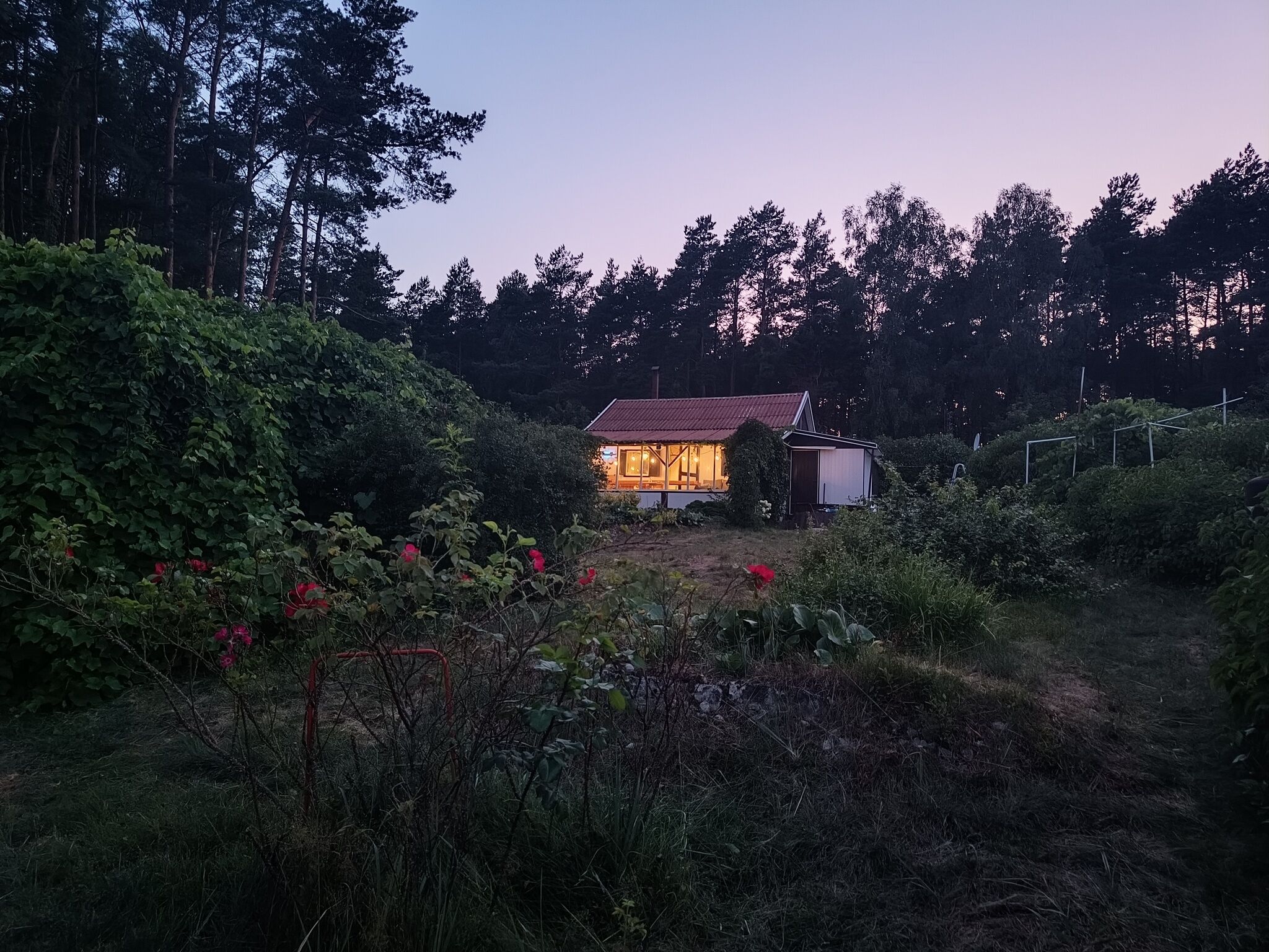 SUPy, Krokodyl & Las Trzebiechowo