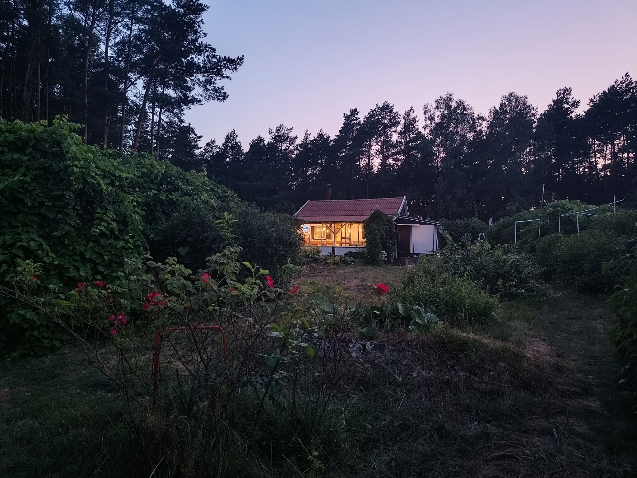 SUPy, Krokodyl & Las Trzebiechowo