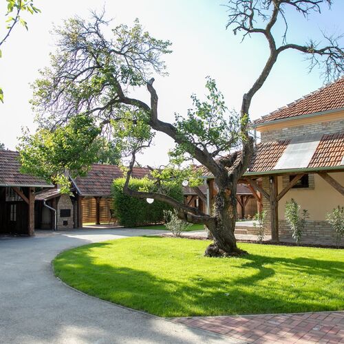 Vadvirág Apartman Gyula