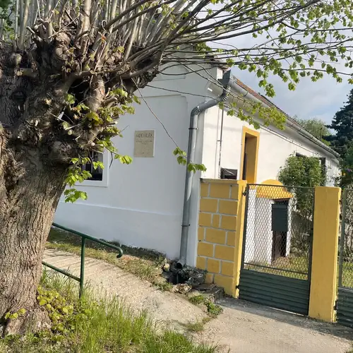 Tulipános Láda Vendégház Pula 003 kép