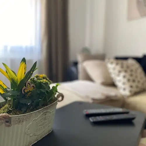 Zöld Ajtó Apartman Szeged 001 kép