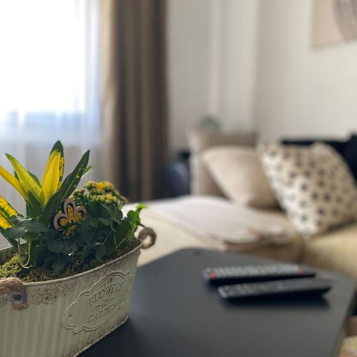 Zöld Ajtó Apartman Szeged