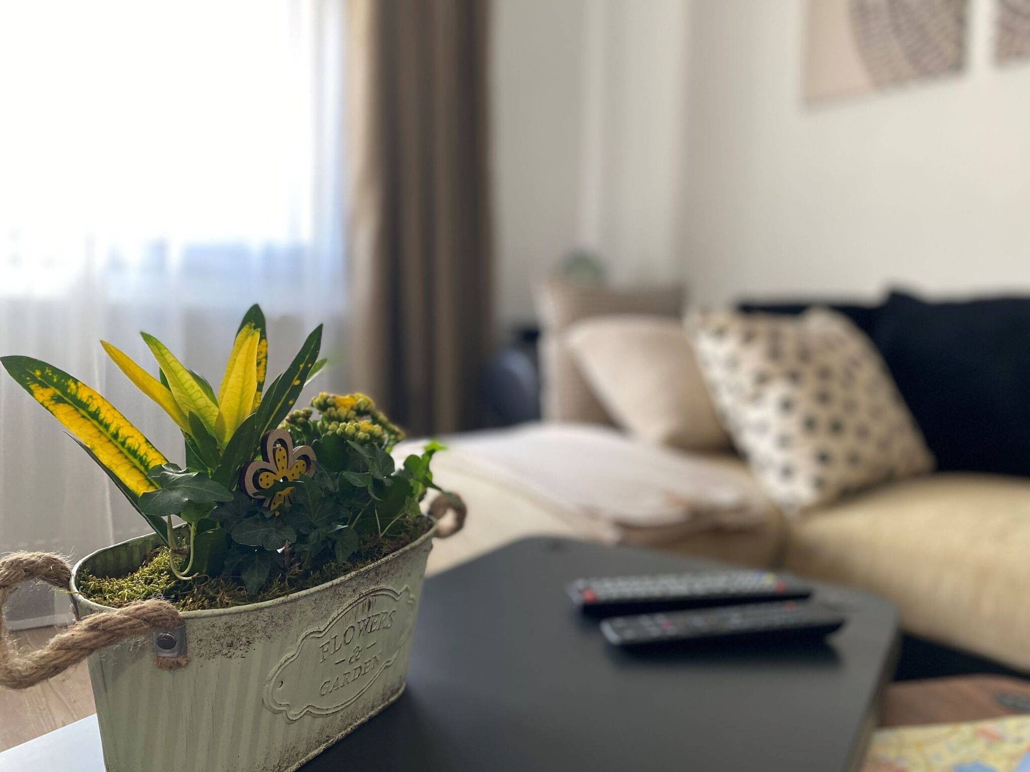 Zöld Ajtó Apartman Szeged
