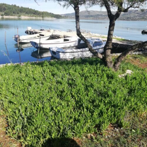 Apartman Slanraj Jadrtovac ★★★ 3