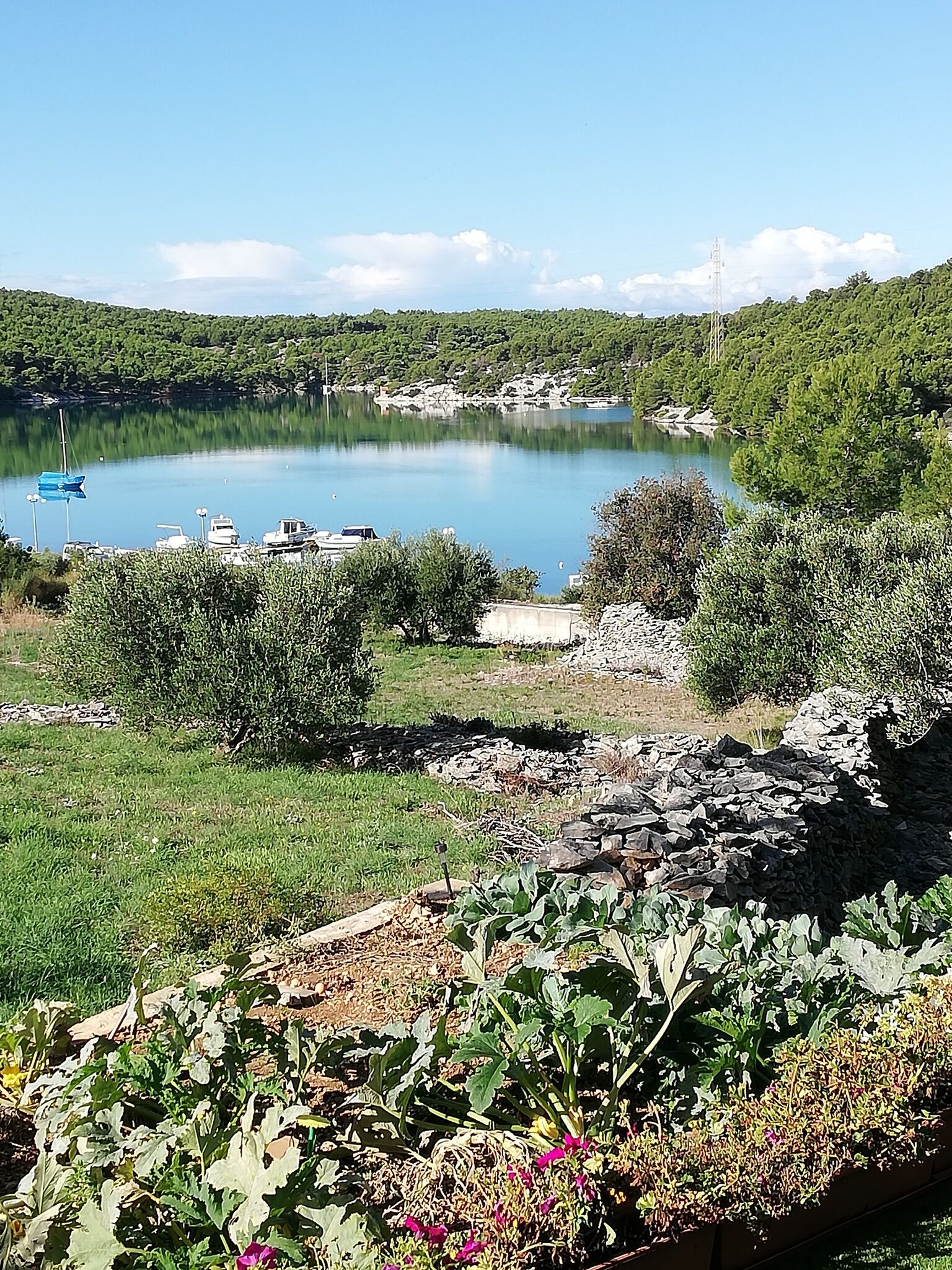 Kilátás a teraszról.