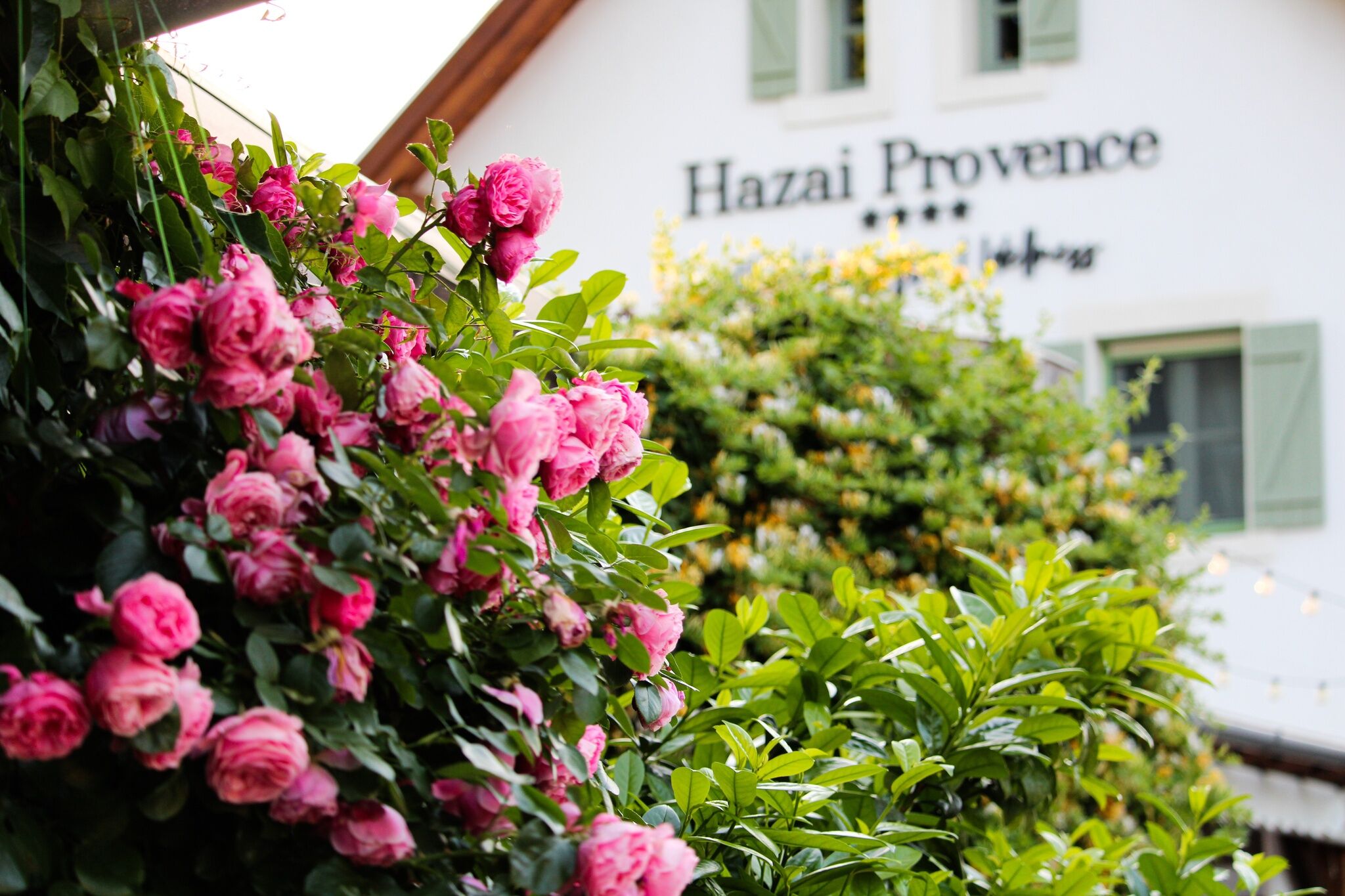 Hazai Provence Panzió Kapolcs