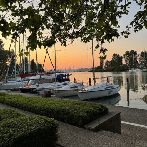 Bunny Apartman Balatonföldvár