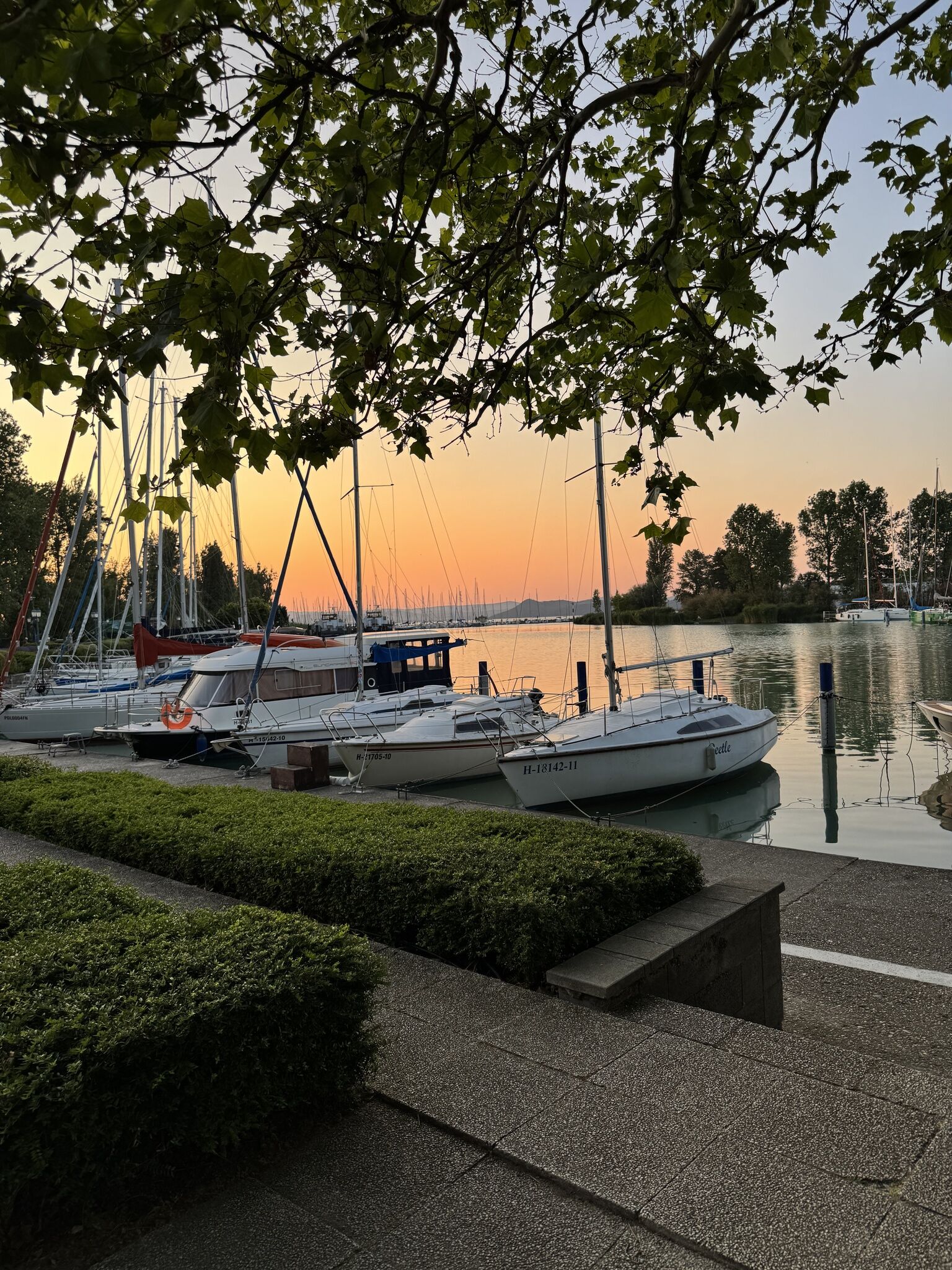Bunny Apartman Balatonföldvár