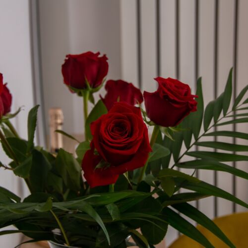 Casa AleMar Năvodari