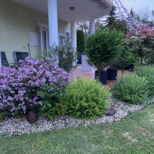 Bellano Villa Balatonkenese  2