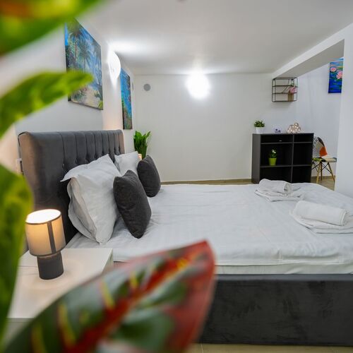 Lovely duplex Apartment Cismigiu Park București