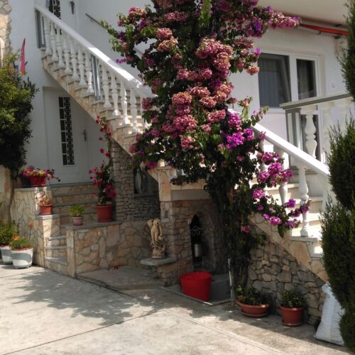 Apartman Mona Brodarica ★★★ 2