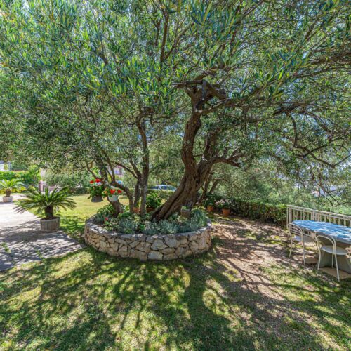 Apartman Makarska - CSC850  3