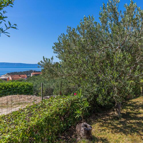Apartman Makarska - CSC851  2