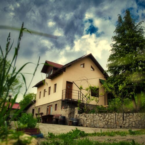 Căsuța Din Pădure Călimăneşti