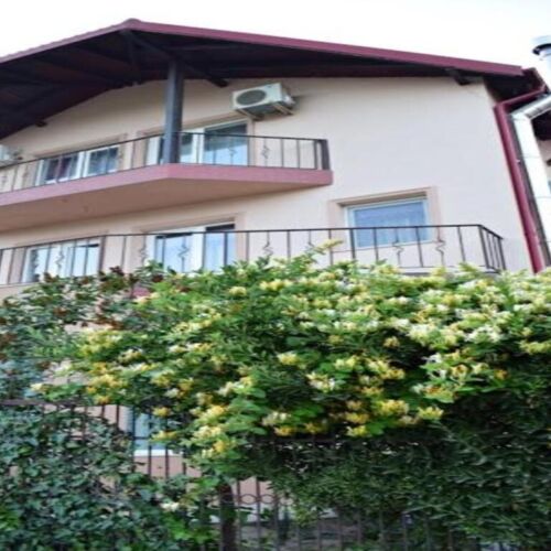 Vila Aliss Năvodari