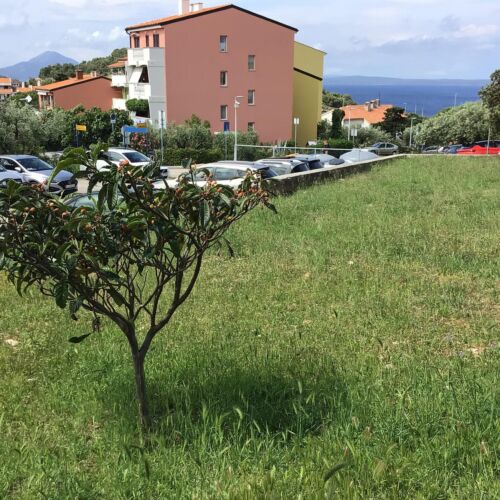Apartman Mali Lošinj - CKL328  2