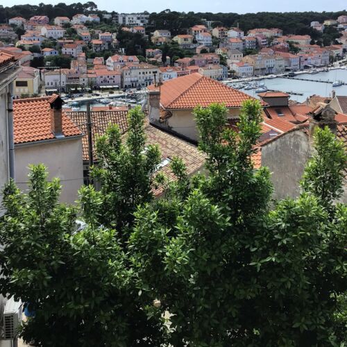Apartman Mali Lošinj - CKL328  3
