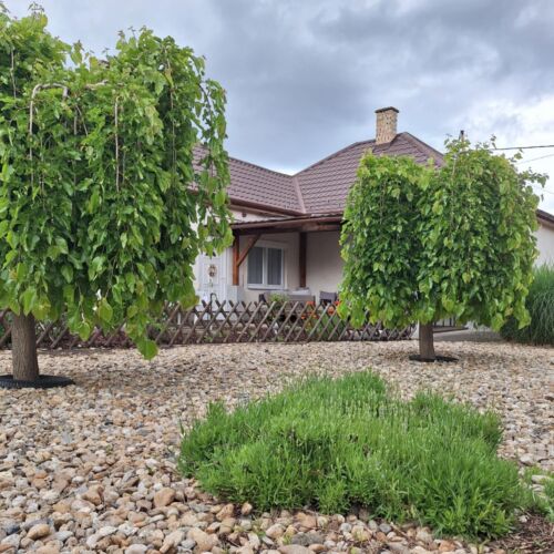 Rebeka Vendégház Poroszló