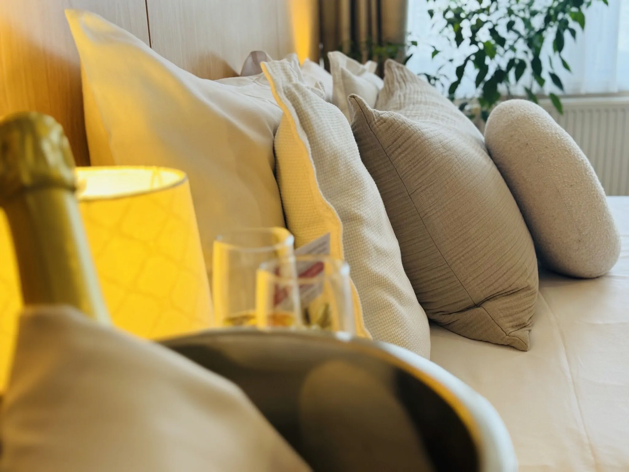 k&eacute;nyelmes &aacute;gy 