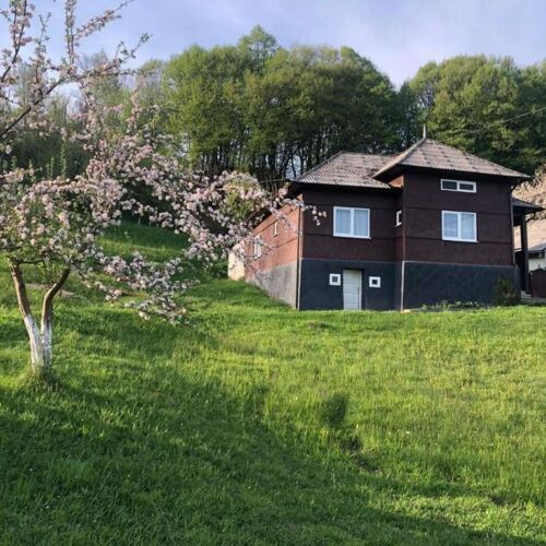 Cabana Hatere Moisei