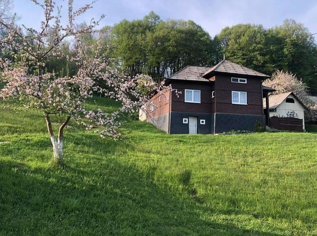 Cabana Hatere Moisei