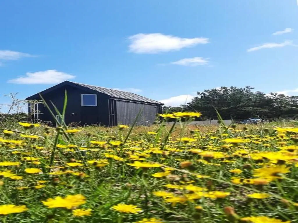 Dom na łące Jantar