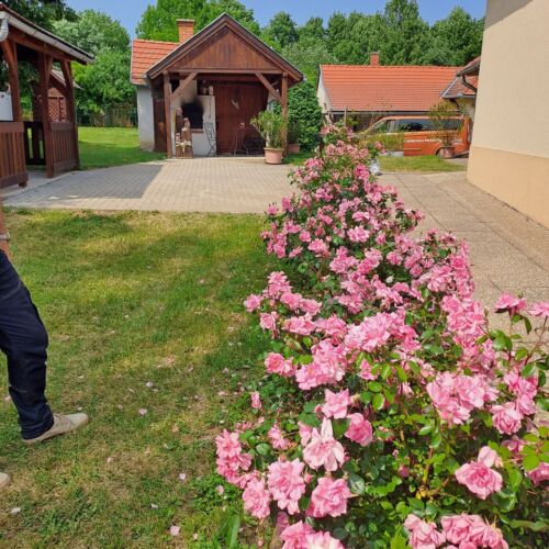 Fényesfelde Apartman Lendvajakabfa