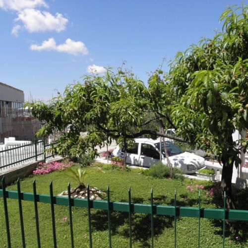 Apartments Mare Biograd  4