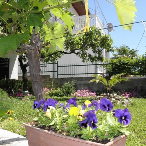 Apartments Mare Biograd  3