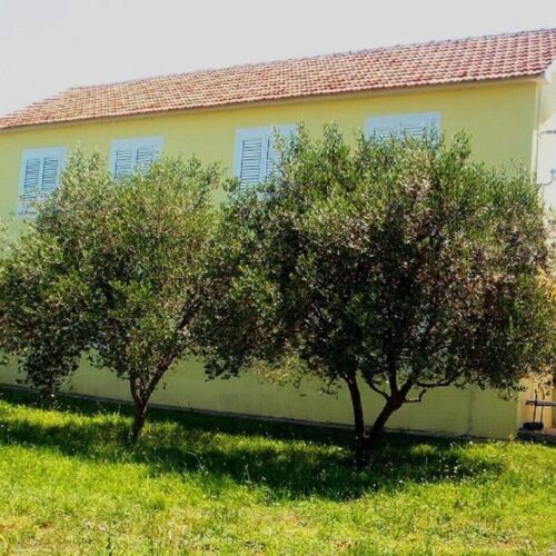 Apartments Mir Zaton  4