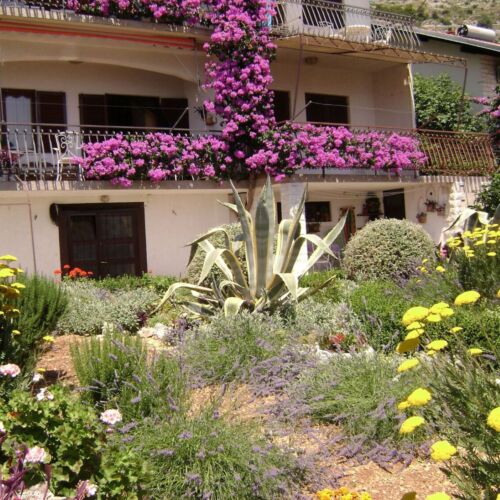 Apartments Ante Seget Donji  2