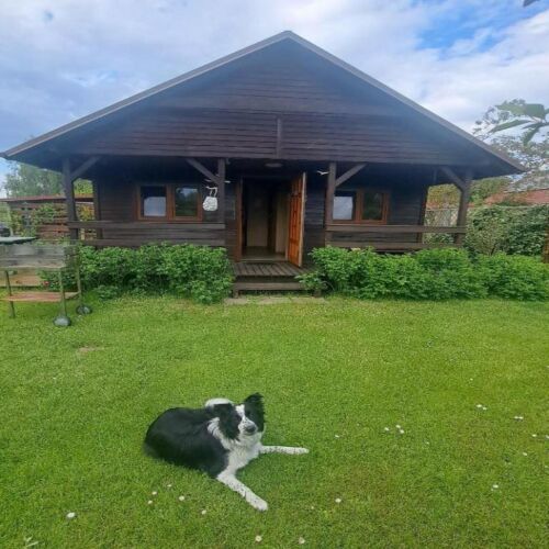 Domek Zapach Wyspy Gdańsk