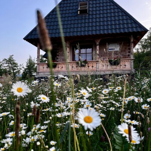 Rustic Inn Bed And Breakfast Budesti