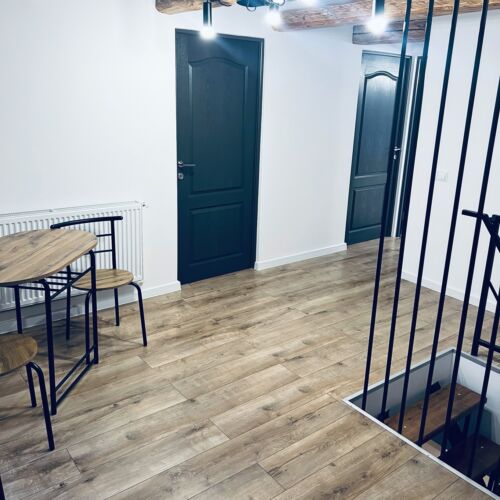 The VV Villa Topliţa 