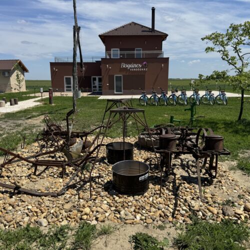 Mini múzeum, Nagyszüleink Lovas szerszámai. 