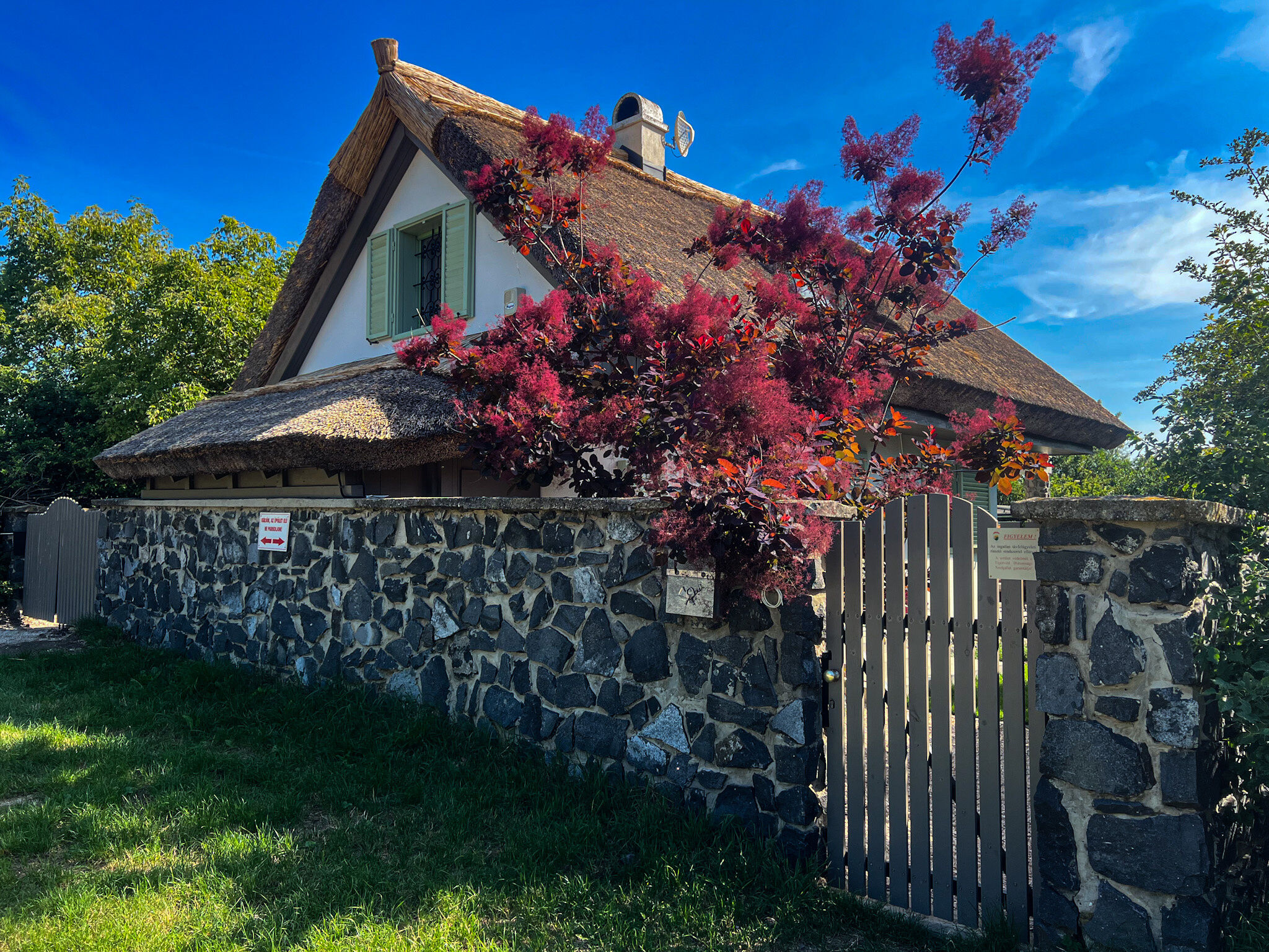 Zanzara Guesthouse Pákozd