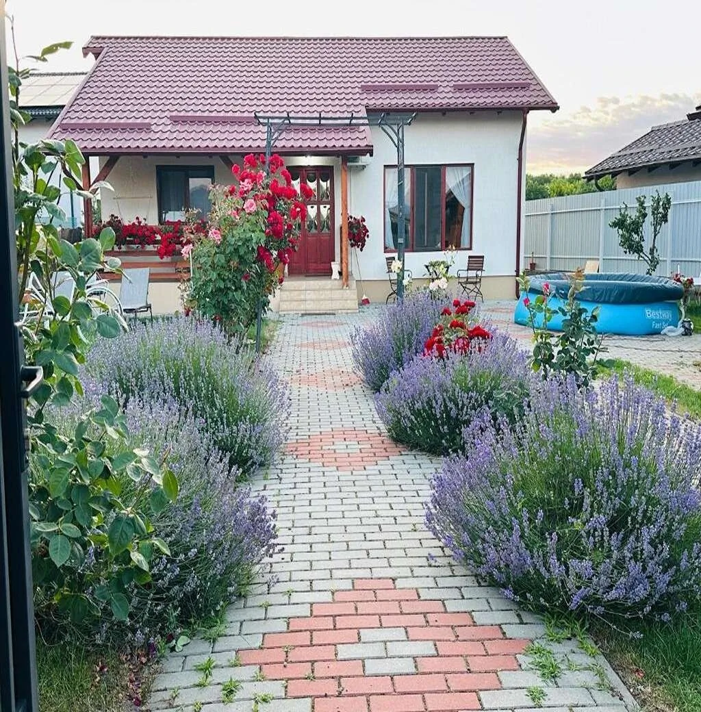 Casa de vacanță Mountain View House Brașov
