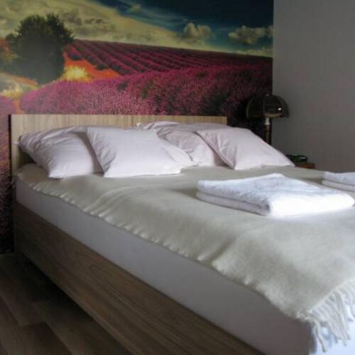 Apartament Lawenda Rzeszów