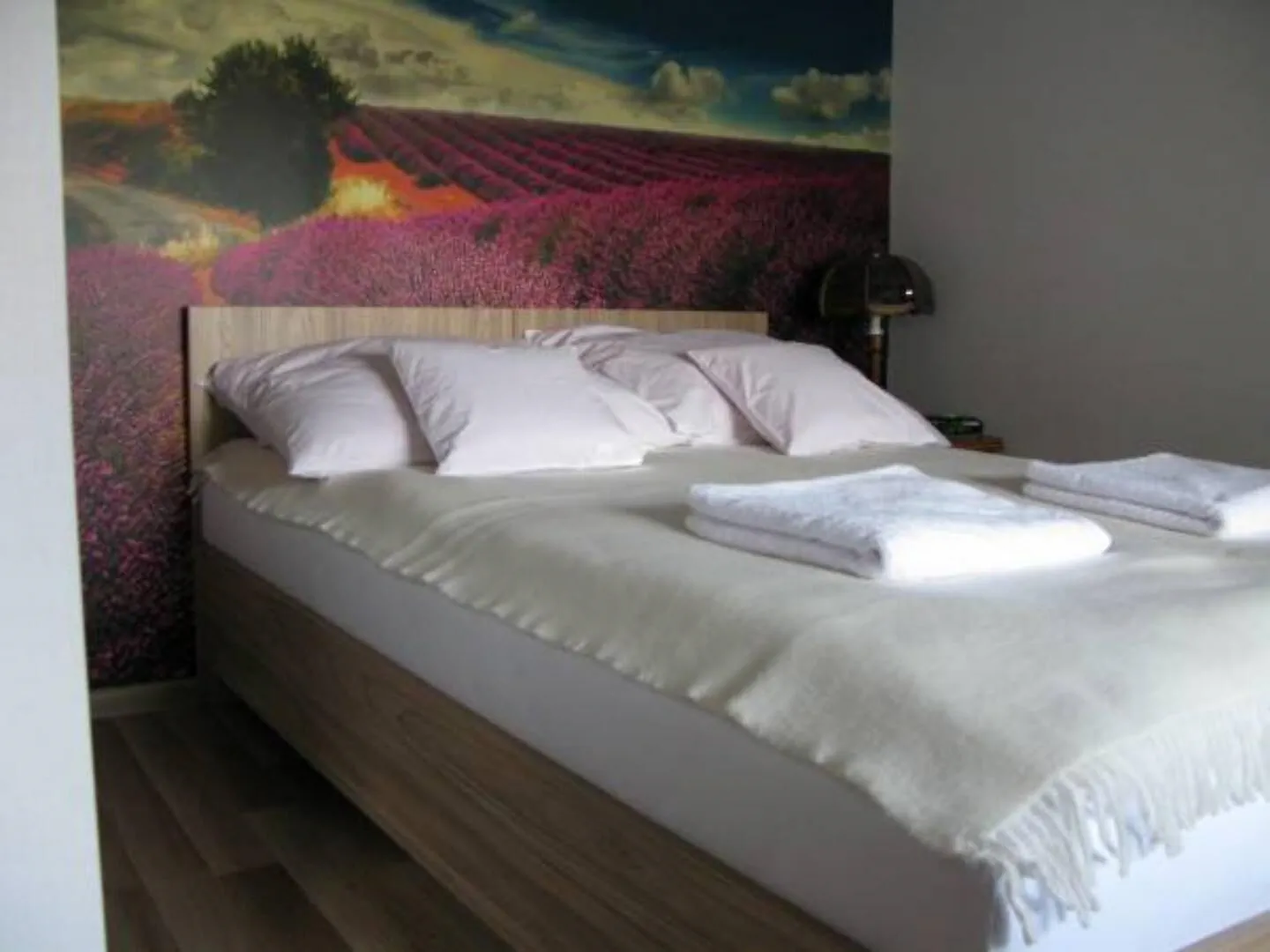 Apartament Lawenda Rzeszów