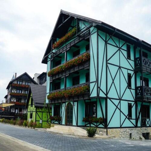 Vila Alsace Bacău