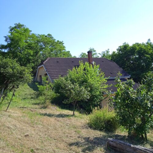 Hegyi Tücsök Vendégház Badacsonytördemic