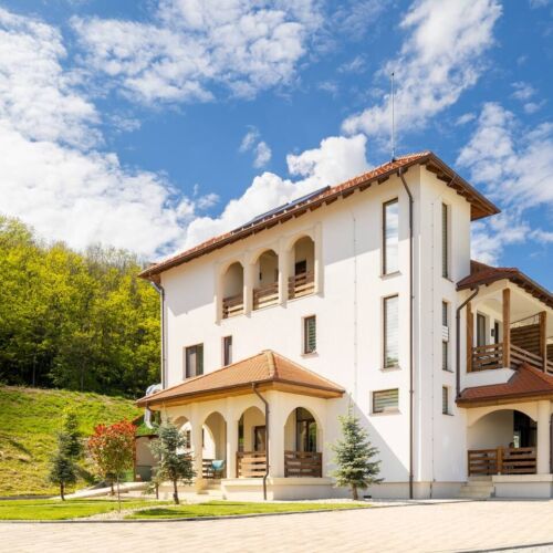 Luxury Room with Forest View and Pool 6 Micești